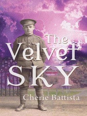 cover image of The Velvet Sky